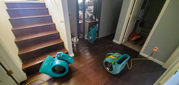 Best Carpet water damage restoration  in Greenwood, AR