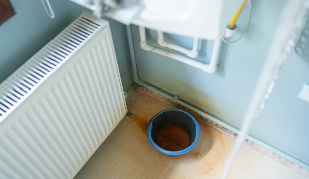Best Water damage contractors near me  in Greenwood, AR