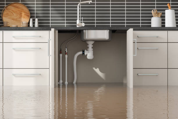 Best 24-hour water damage restoration  in Greenwood, AR