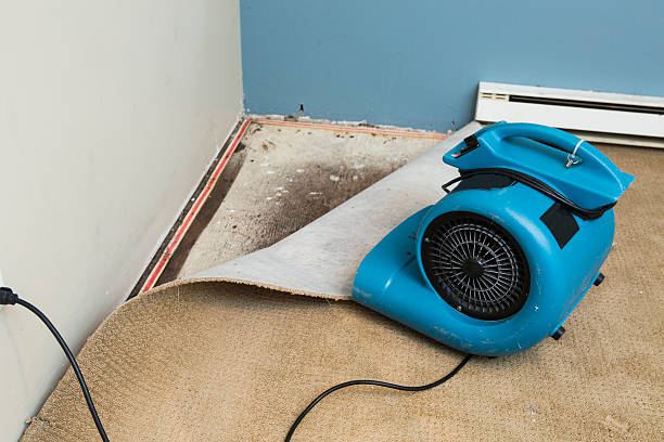 Best Ceiling water damage repair  in Greenwood, AR